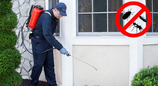 Tuzlukçu Dezenfeksiyon böcek ilaçlama ve haşere kontrolü — ilaclama-tr.com